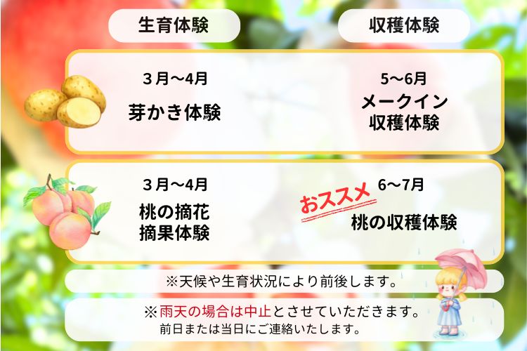 収穫体験のスケジュール