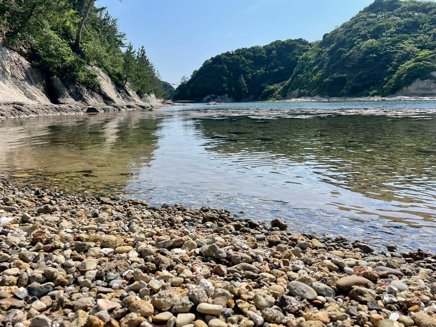 流木と入り江・青空